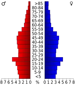 Bevolkingspiramide Whatcom County