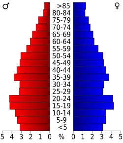Bevolkingspiramide White County