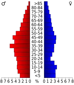 Bevolkingspiramide White Pine County