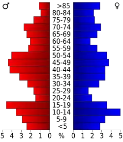 Bevolkingspiramide Wibaux County