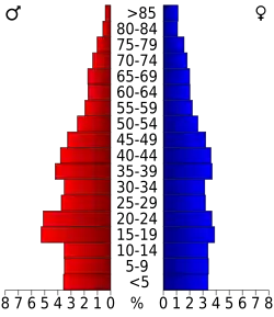 Bevolkingspiramide Wichita County