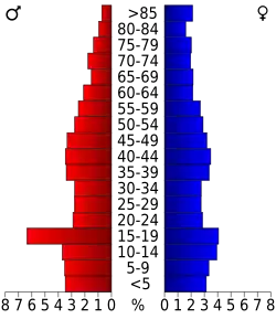 Bevolkingspiramide Wilbarger County