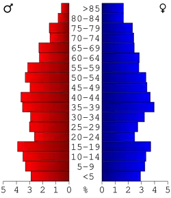 Bevolkingspiramide Wilkes County