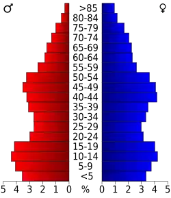 Bevolkingspiramide Williamsburg County