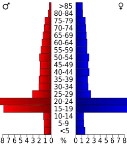 Bevolkingspiramide Williamsburg