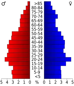 Bevolkingspiramide Winchester