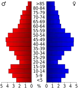Bevolkingspiramide Windsor County