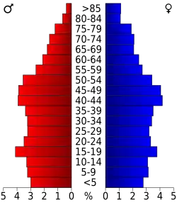 Bevolkingspiramide Wise County
