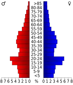 Bevolkingspiramide Wood County