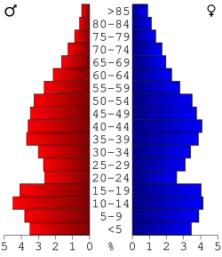 Bevolkingspiramide Worth County
