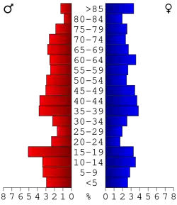 Bevolkingspiramide Worth County