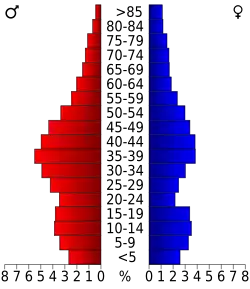 Bevolkingspiramide Wyoming County