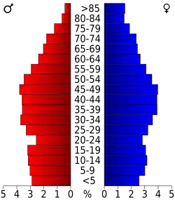 Bevolkingspiramide Wythe County