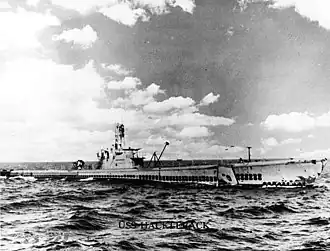 USS Hackleback