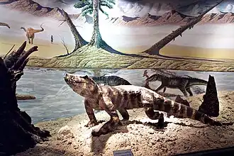 Uberabasuchus