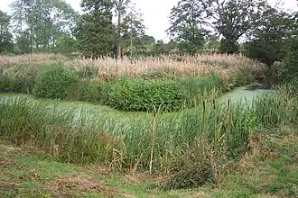 Omgeving van Ufton Nervet