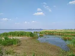 Uitzicht vanaf de Mandjeswaard,(gem. Kampen,OV) op Zwarte Meer en Vogeleiland (gem. Zwartewaterland,OV)