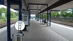 Het perron gezien uit de stationshal.