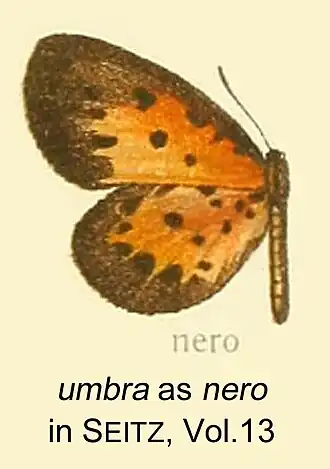Pentila umbra