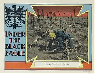 Affiche voor Under the Black Eagle