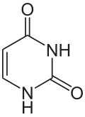 Structuurformule van uracil
