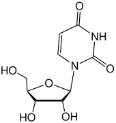 Structuurformule van uridine