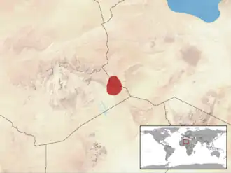 Zwarte doornstaartagame
