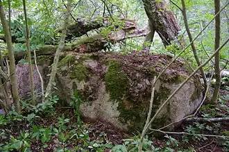 Voormalige offersteen bij Laevaranna