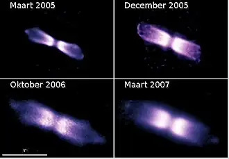 V445 Puppis gefotografeerd met de Very Large Telescope over een periode van twee jaar. De schil rond de dubbelster is duidelijk aan het groeien.