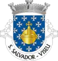 Vlag van São Salvador