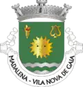 Vlag van Madalena
