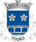 Vlag van Touro