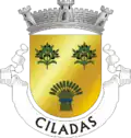 Vlag van Ciladas