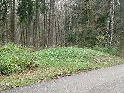 Grafheuvel Vaalserberg