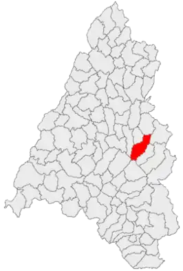 Kaart van Vadu Crișului