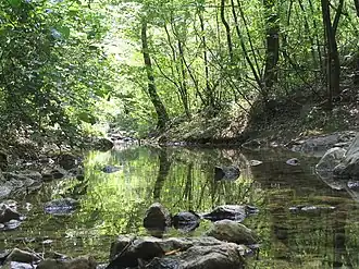 De Rosandra bij Triëst