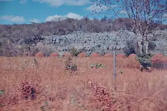 Nationaal park Cavernas do Peruaçu