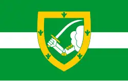 Vlag van de gemeente Valga