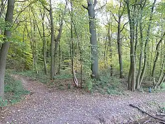 Het terrein van de villa