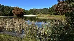 Zwemvijver "De Watersnip"