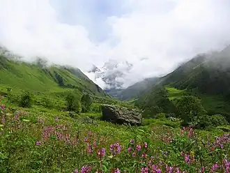 Nationaal Park Valley of Flowers
