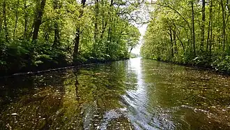 Van Swinderenvaart richting Wyldemerk