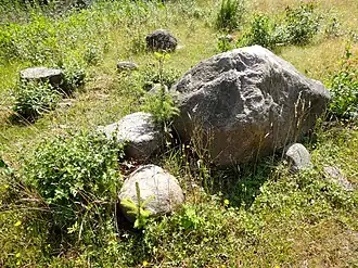 Het Van der Lijnreservaat anno 2015