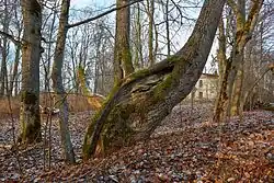 Het park rond het landhuis