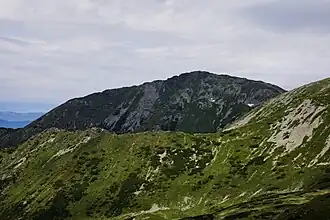 De top van de Pietrosul Rodnei