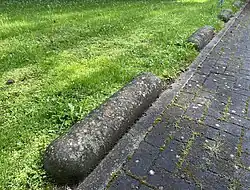 Varkensruggen begroeid met de sinaasappelkorst-associatie