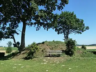 Tumulus van Vechmaal