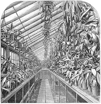 Illustratie van Veitch's Nepenthes-kas in The Gardeners' Chronicle, 1872