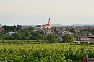 Velké Bílovice uit het noordoosten