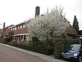 Woningen (met 6 en 8)